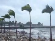 Troje mrtvih na Jamajci: Niko nije doživio ništa slično onom što slijedi