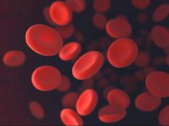 “Zlatna krv”: Krvna grupa koju ima manje od 50 ljudi na svijetu