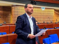 Magazinović u Strazburu: Zaustaviti uplitanje Srbije i Hrvatske u BiH