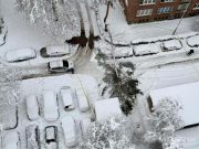 Tragedija na Grbavici: Preminula žena na koju je palo stablo