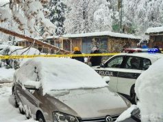 Formiran predmet zbog majke dvoje djece na koju je palo stablo na Grbavici