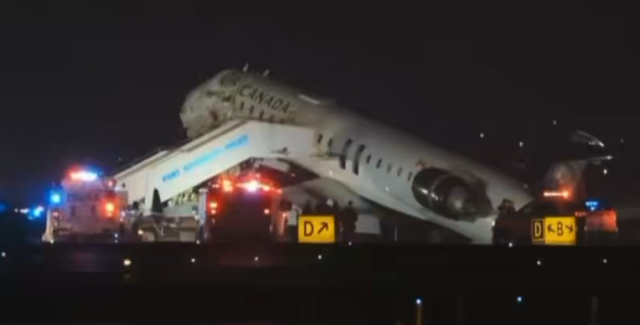 1e9d046d-4d49-4402-a40a-bf8e9997c3ea