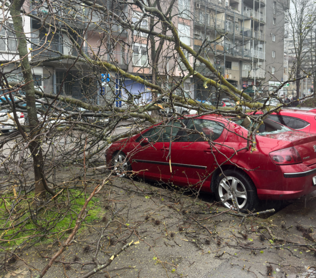 50465641-8f1e-4bbc-a2e9-c4a1b9af67a2