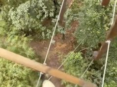 Odlučio preći viseći most, ali jedan pogrešan korak značio je pad (VIDEO)